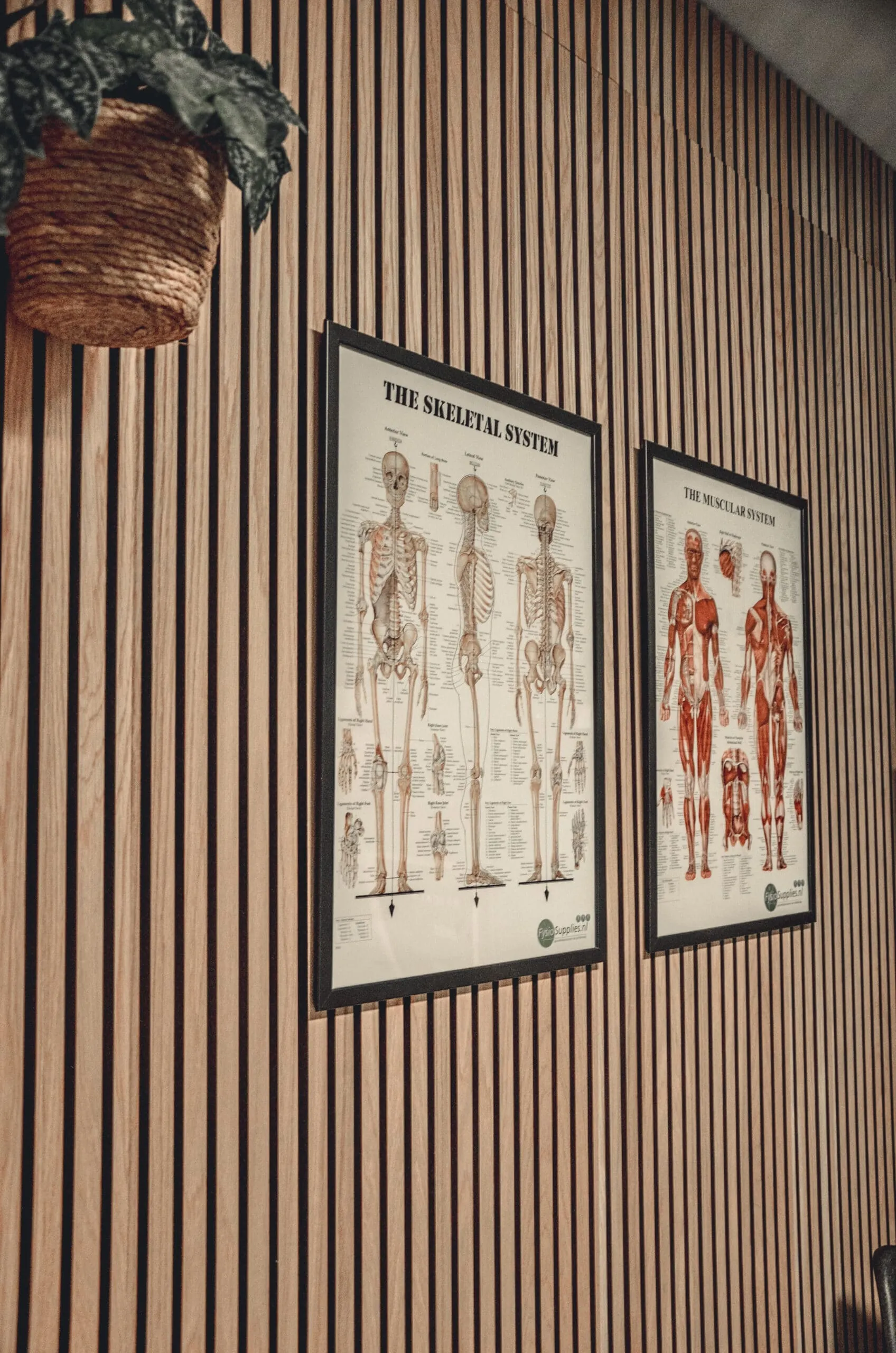 Tarieven Movement Based Therapy Amsterdam
